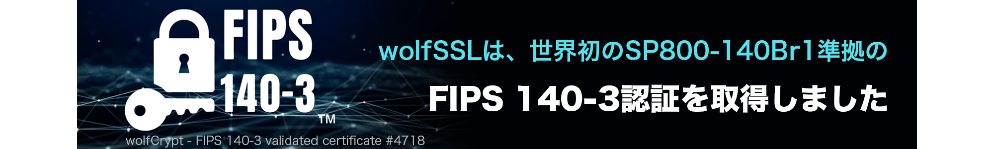 FIPS140-3__